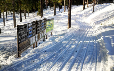 vinter skidspår